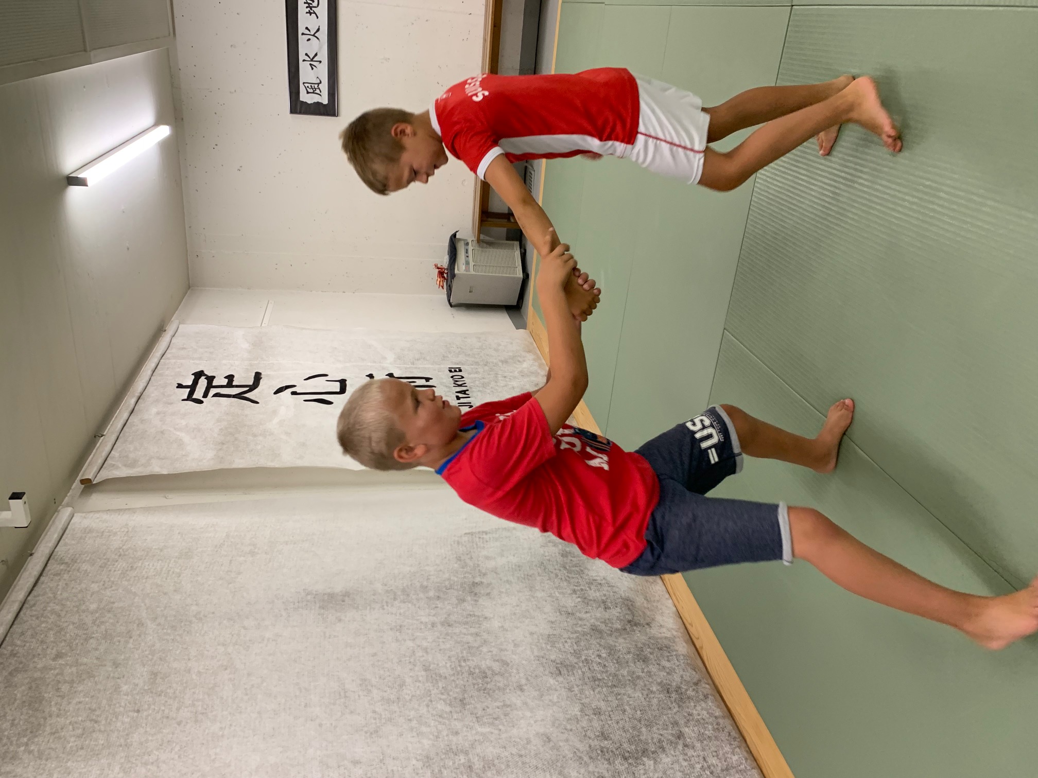 Japanische Kampfkunst