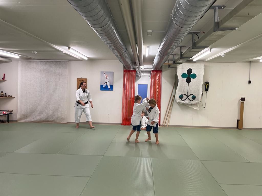 Japanische Kampfkunst