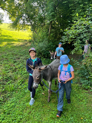 Eseltrekking