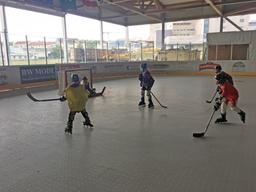 Inlinehockey