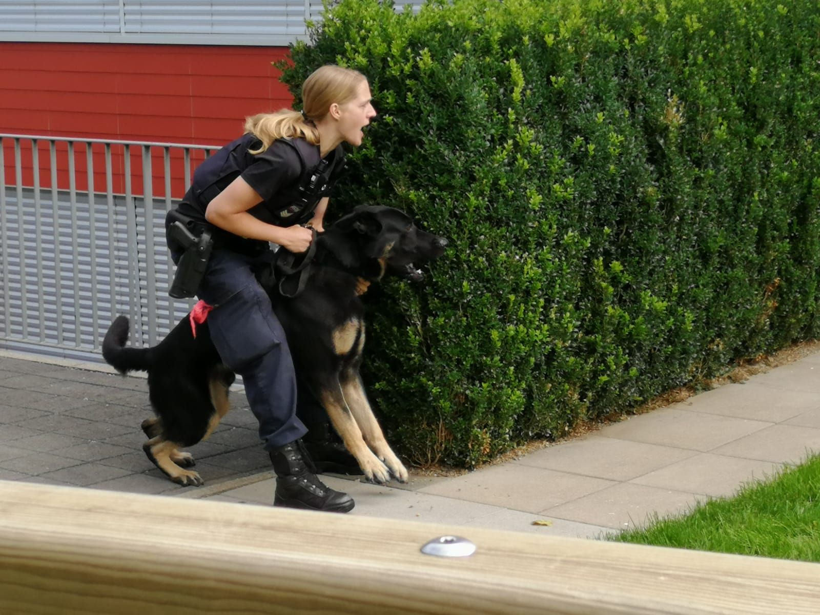 Polizei, dein Freund und Helfer