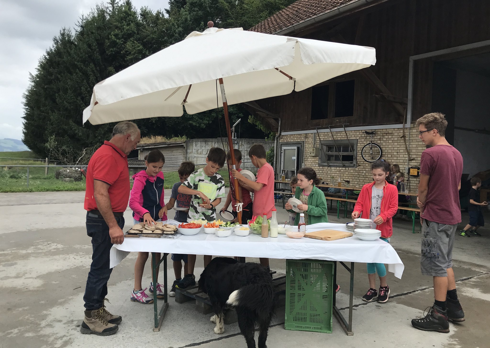 Auf dem Büffel-/Bauernhof