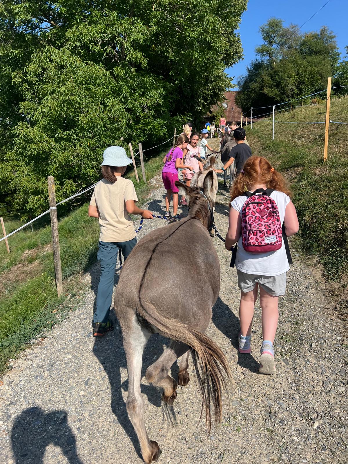 Eseltrekking