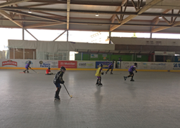 Inlinehockey