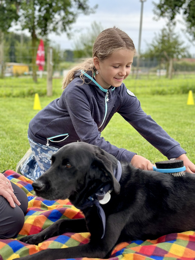 Kind und Hund 2
