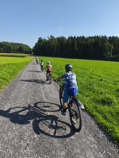 Auf dem Büffelhof