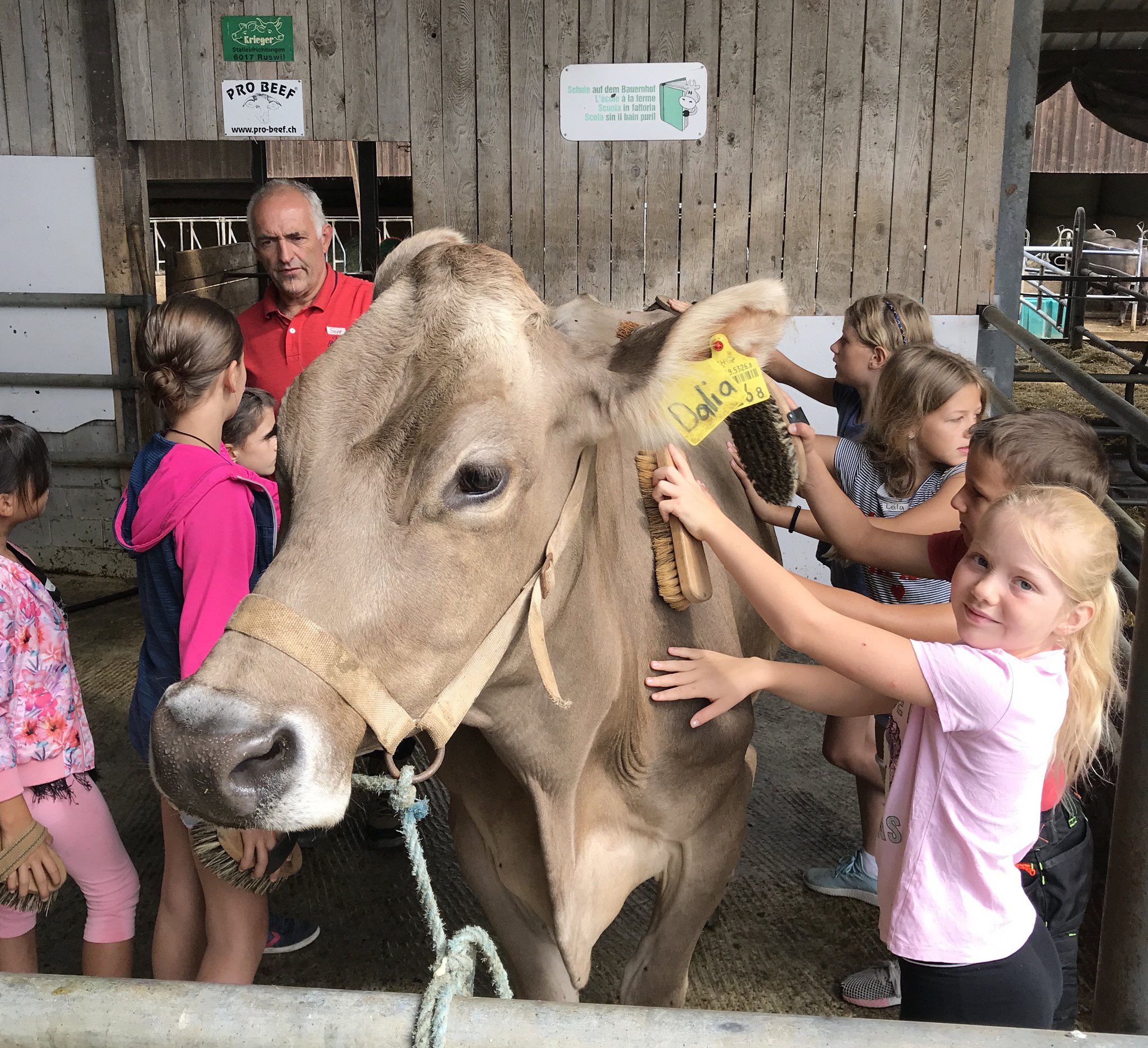 Auf dem Büffel-/Bauernhof