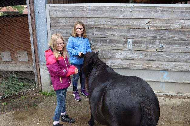 Ponyhelden-Schnitzeljagd