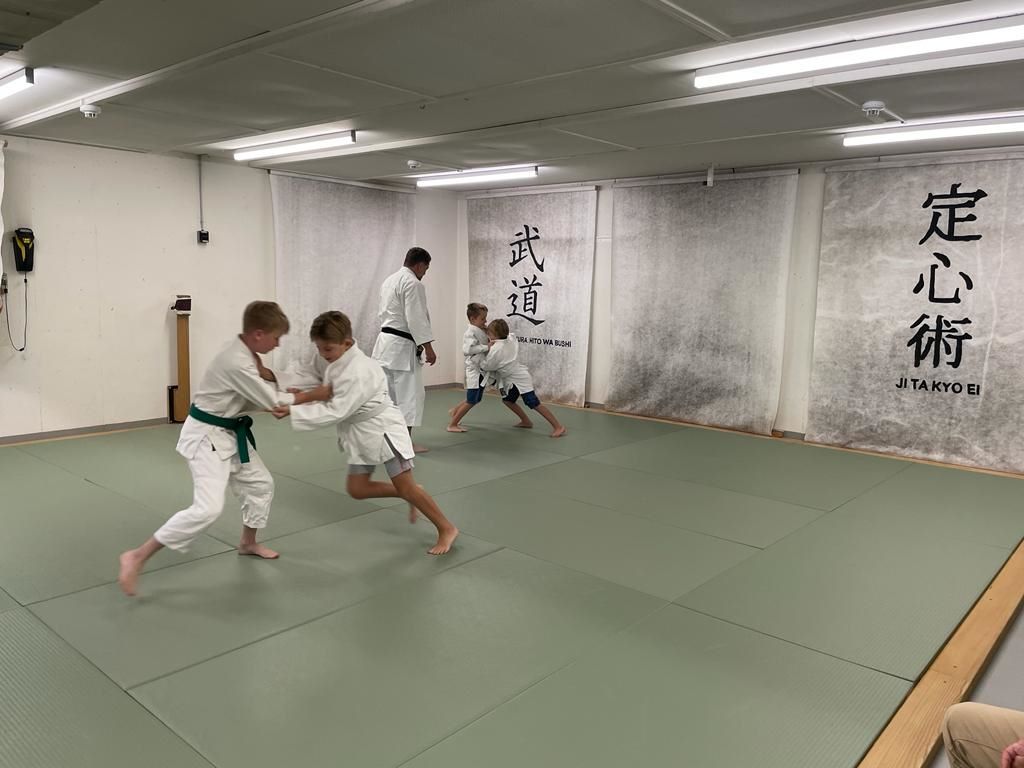 Japanische Kampfkunst