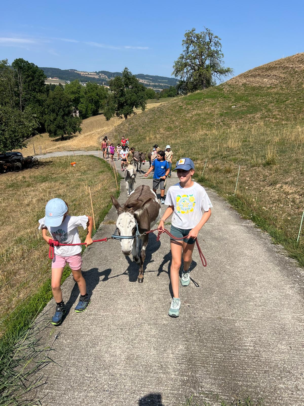 Eseltrekking