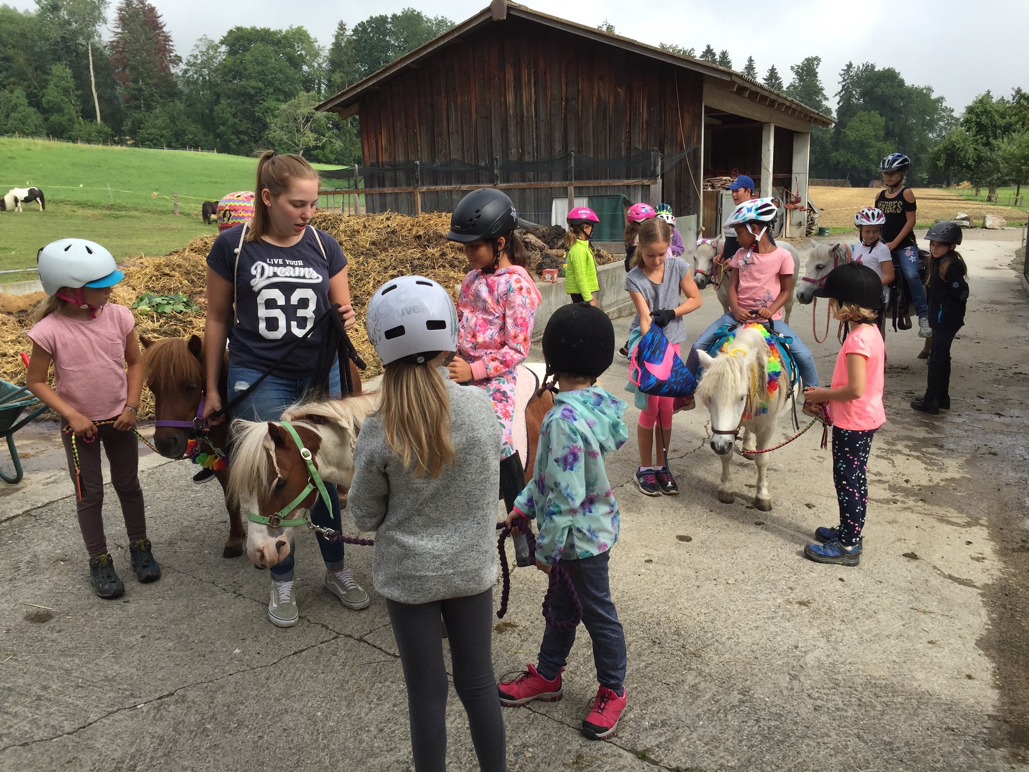 Bei den EInhorn-Ponys