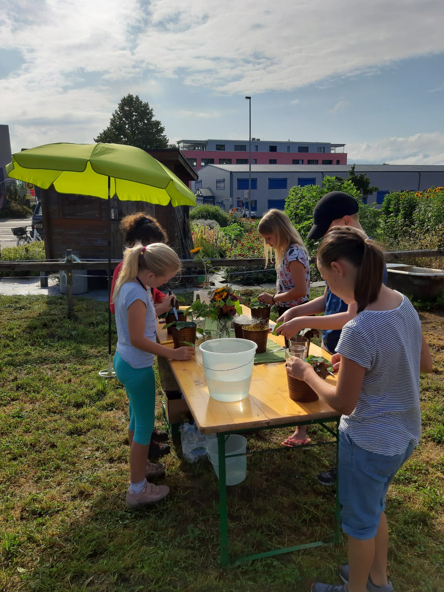 Kreativ mit Sommerflor
