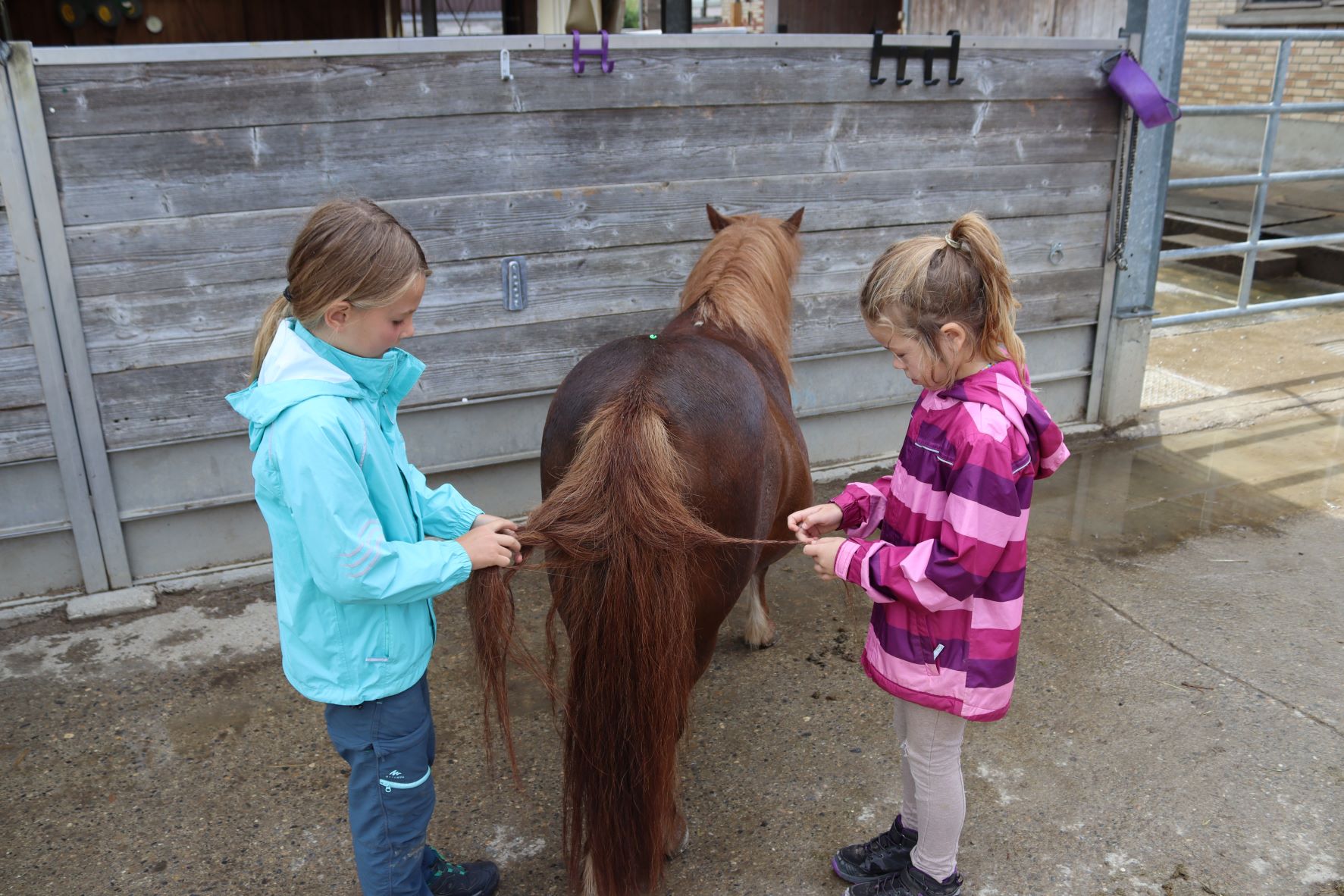 Ponyhelden-Schnitzeljagd
