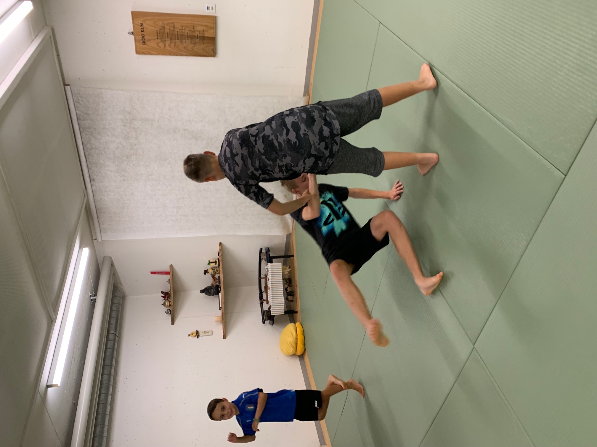 Japanische Kampfkunst