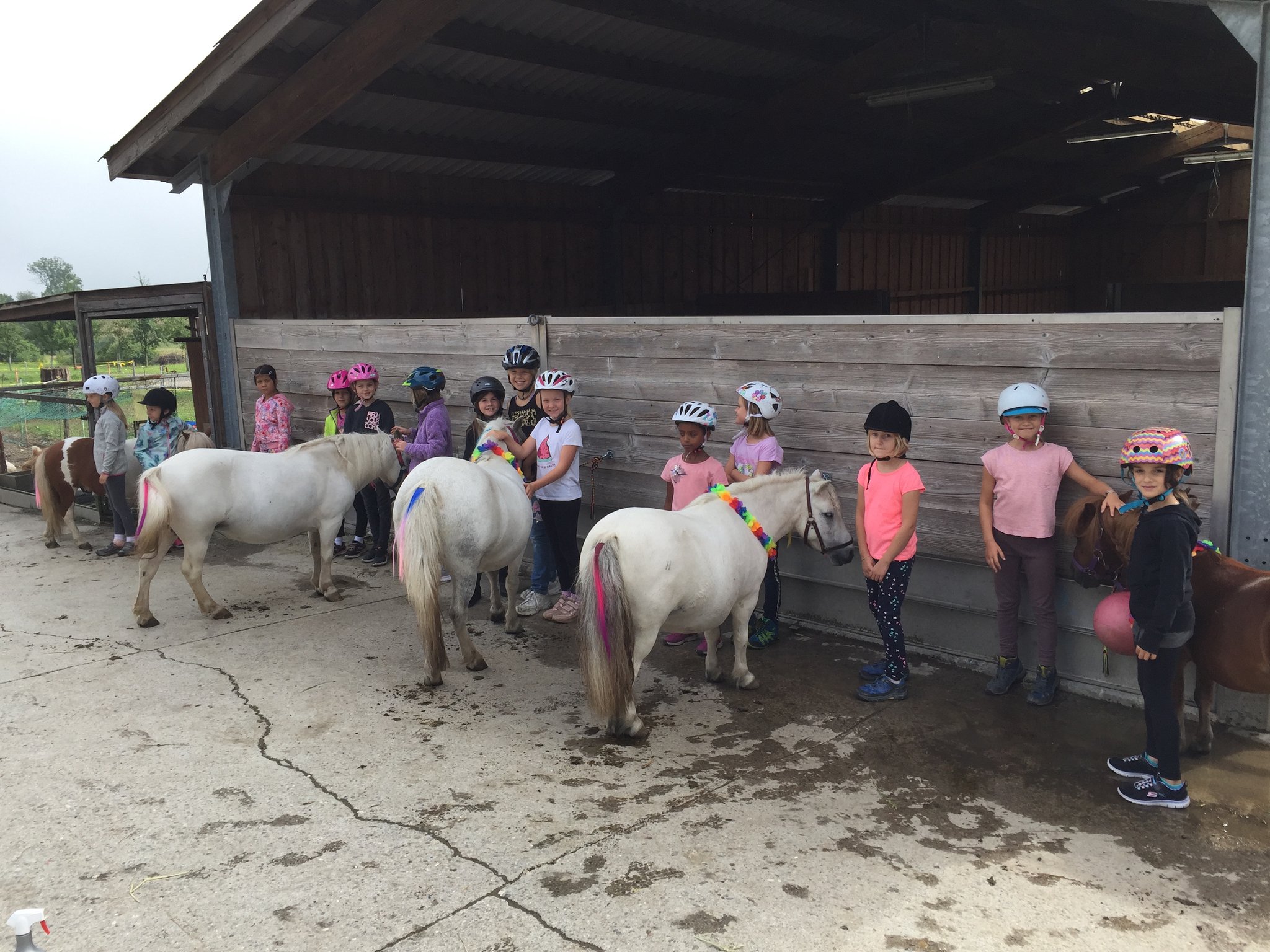 Bei den EInhorn-Ponys