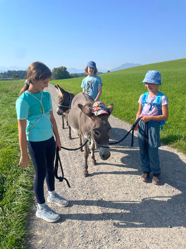 Eseltrekking