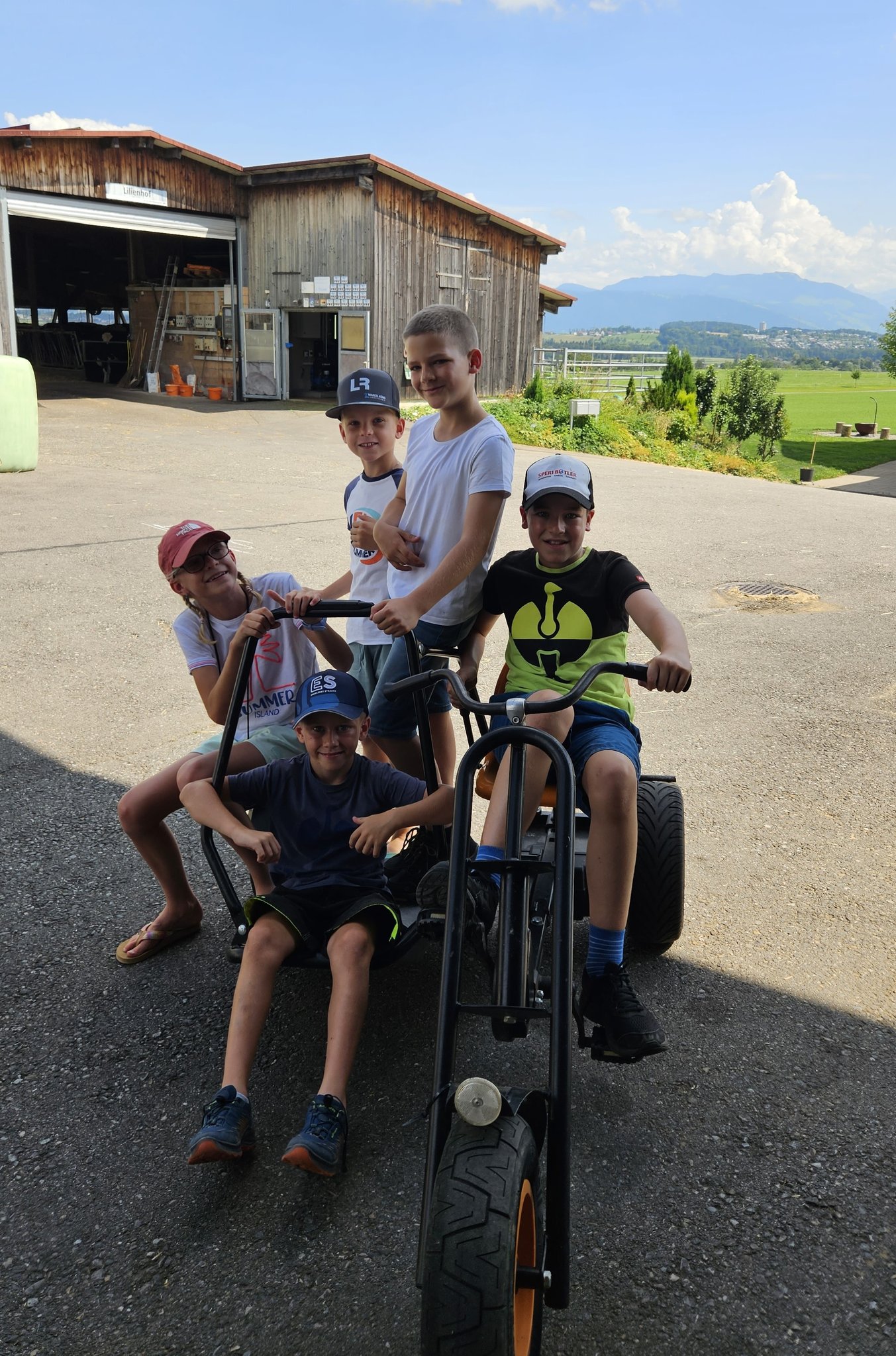 Bauernhof - Olympiade