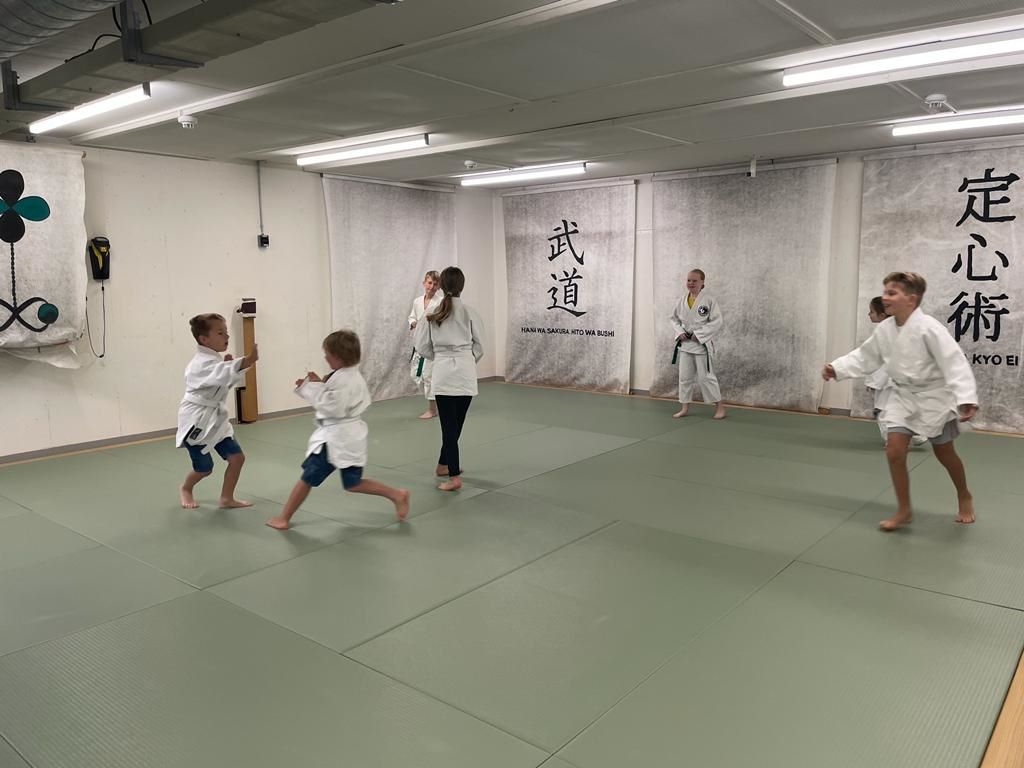 Japanische Kampfkunst