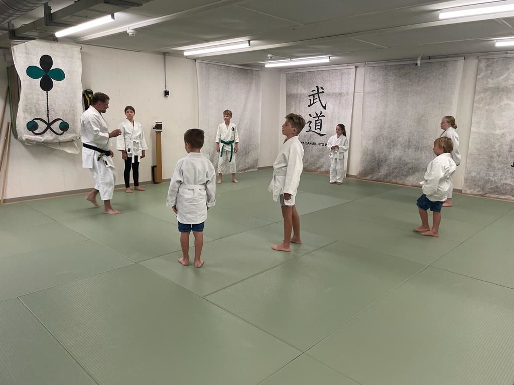 Japanische Kampfkunst