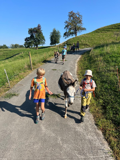 Eseltrekking