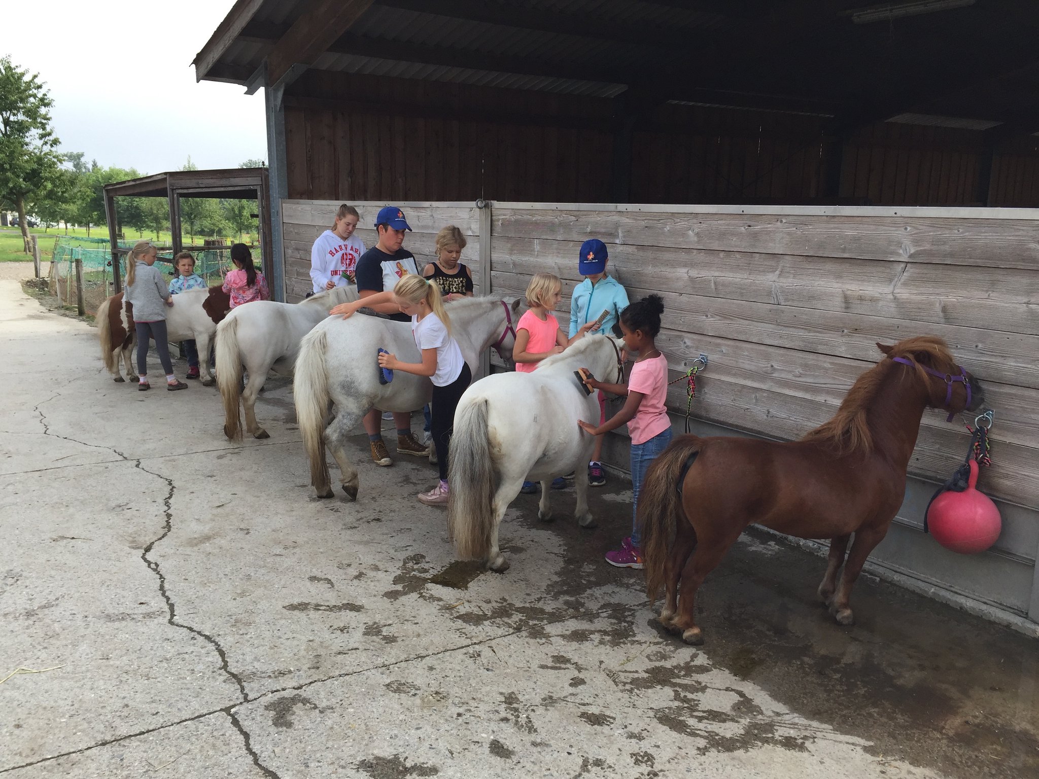 Bei den Einhorn-Ponys