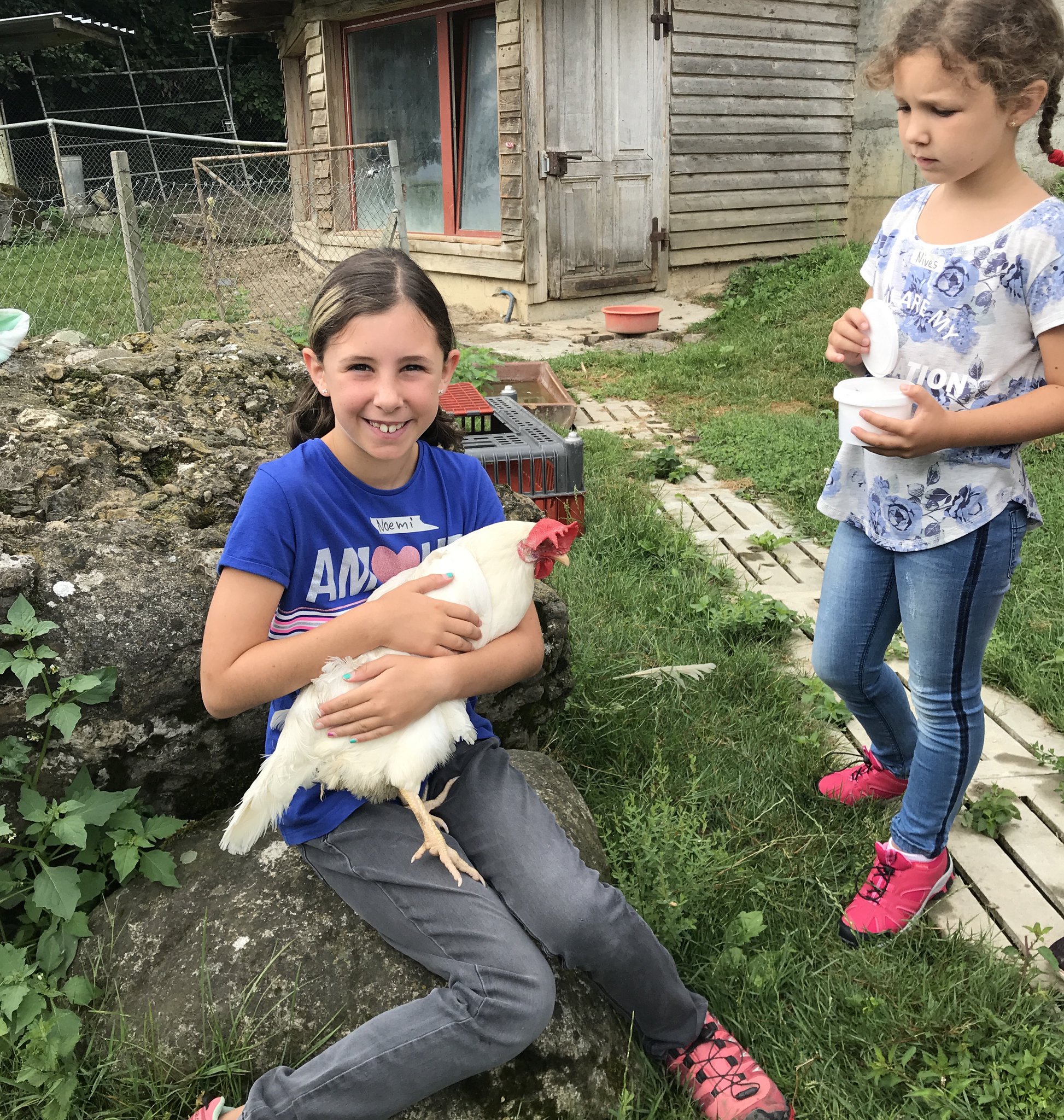 Auf dem Büffel-/Bauernhof