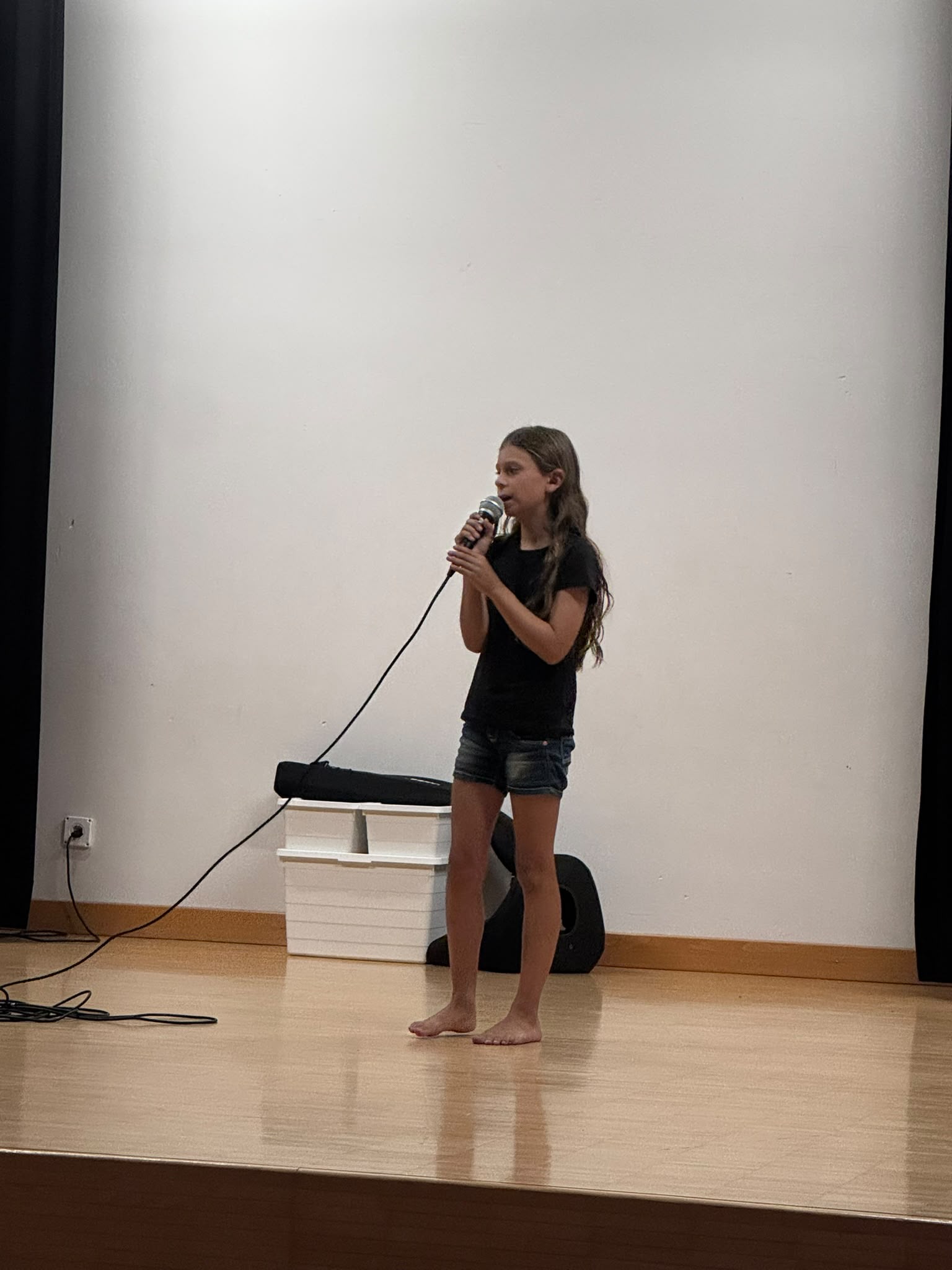 Sing wie ein Star