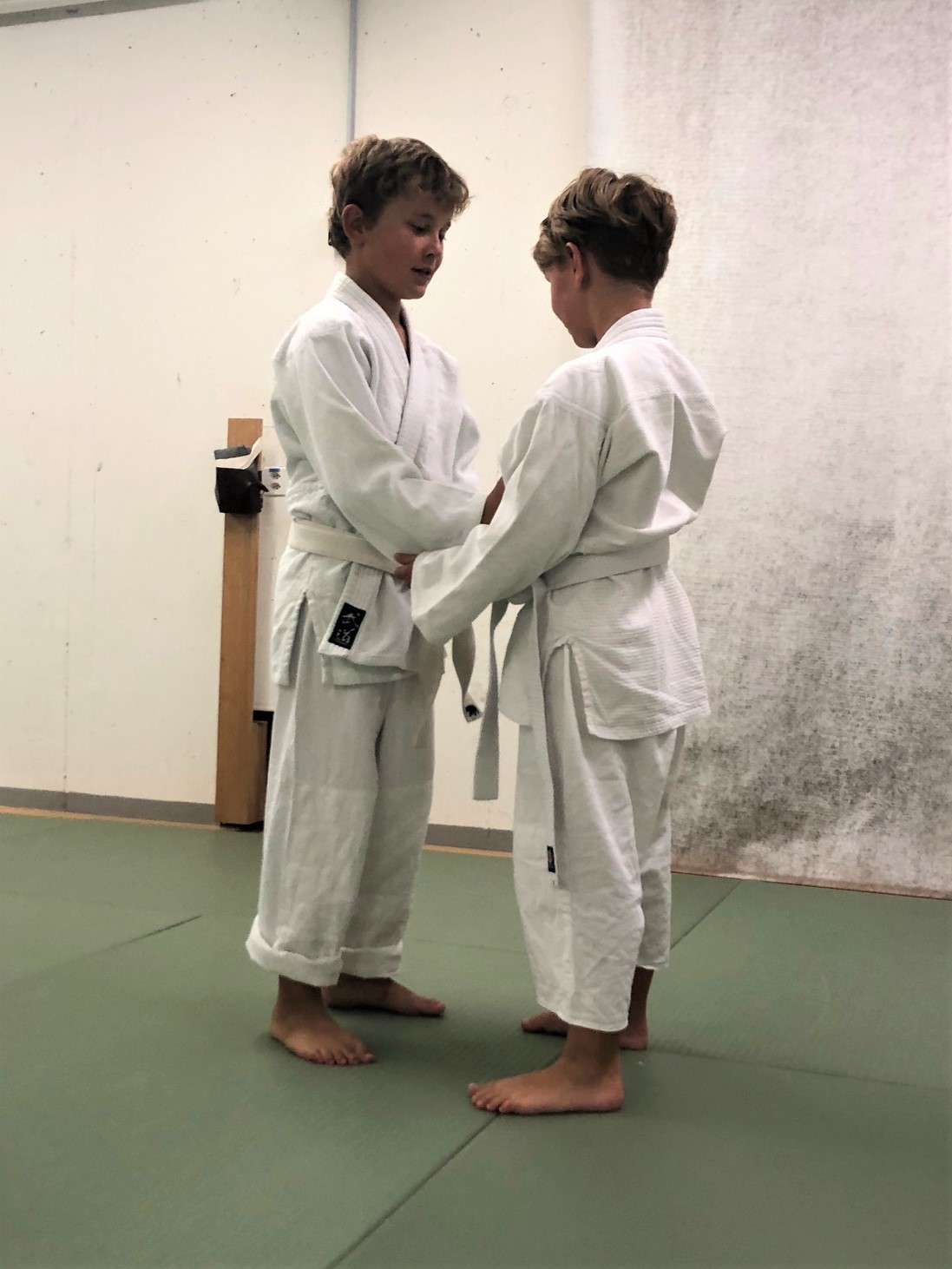 Japanische Kampfkunst