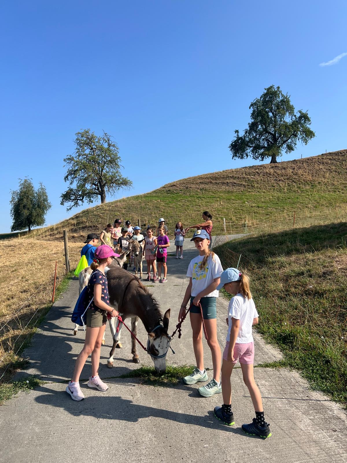 Eseltrekking